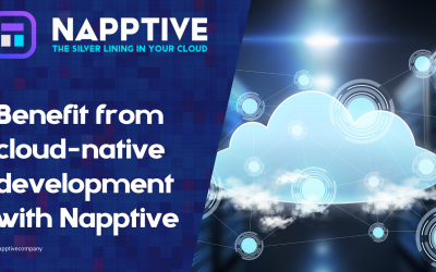 Benefit from cloud-native application development with Napptive
