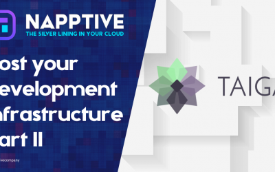 Host your development infrastructure with Napptive – Part 2